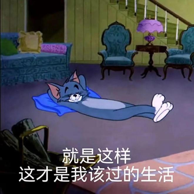 舒服的小事日子真的会变爽!新葡京花几十块钱解决家里不(图8) 舒服的小事日子真的会变爽!新葡京花几十块钱解决家里不(图8)